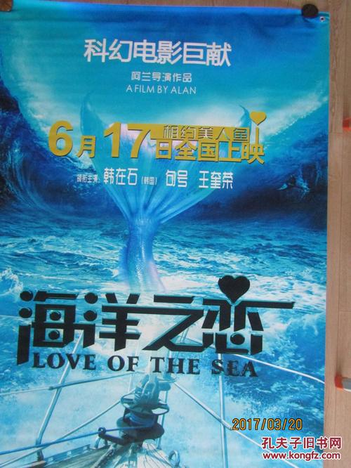 t-SaxionUniversityofAppliedSciences商科文凭证书